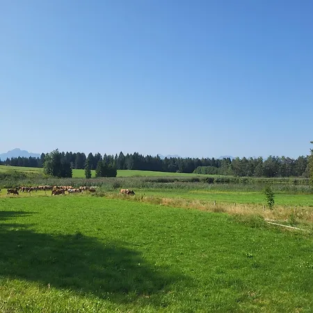 Winkler Bernbeuren